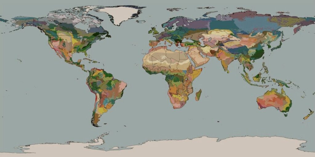 Nation-states are destroying the world. Could ‘bioregions’ be the answer?